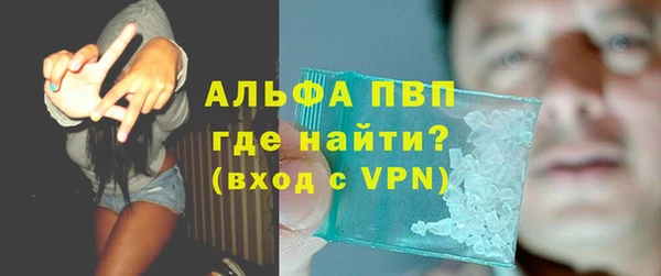 СК Белокуриха