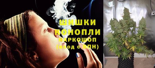 СК Белокуриха