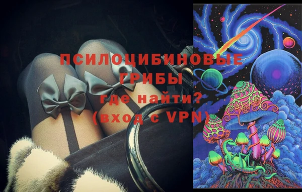 ПСИЛОЦИБИНОВЫЕ ГРИБЫ Балабаново